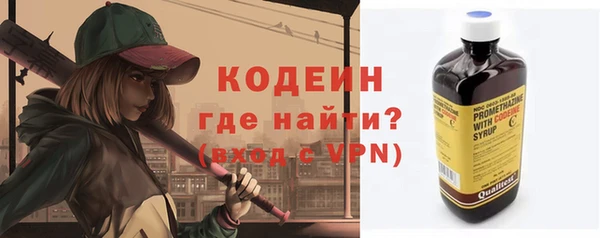 шишки Бородино