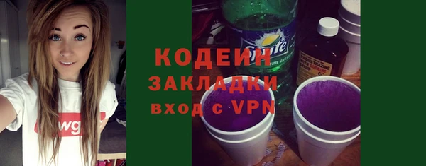 шишки Бородино