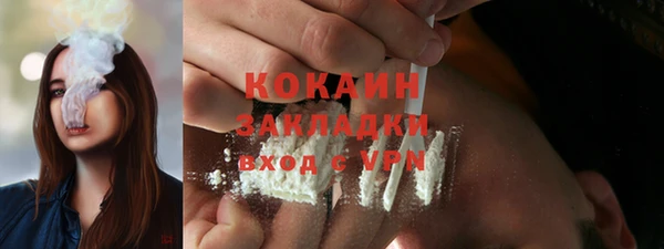 спиды Богородицк