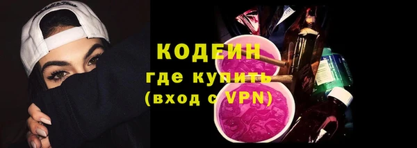 шишки Бородино