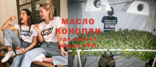 спиды Богородицк