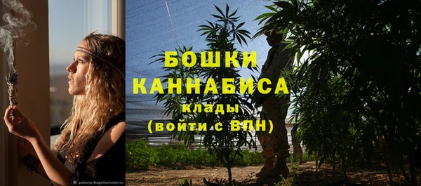 спиды Богородицк