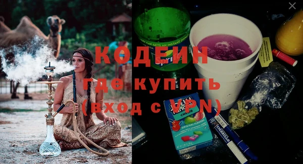 шишки Бородино