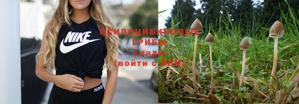 спиды Богородицк