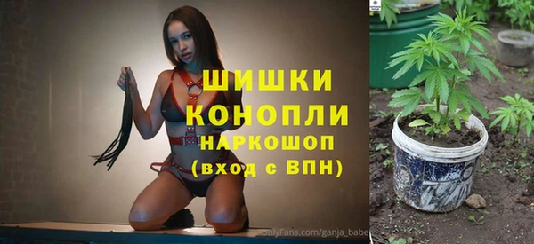 спиды Богородицк