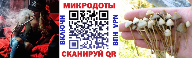 магазин    Лыткарино  Псилоцибиновые грибы мухоморы 